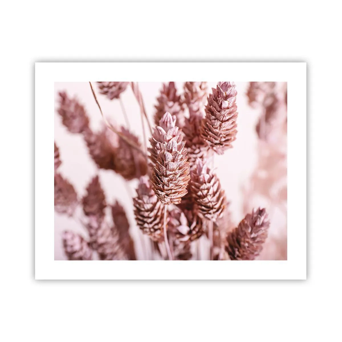 Poster - Aparent discrete - 50x40 cm