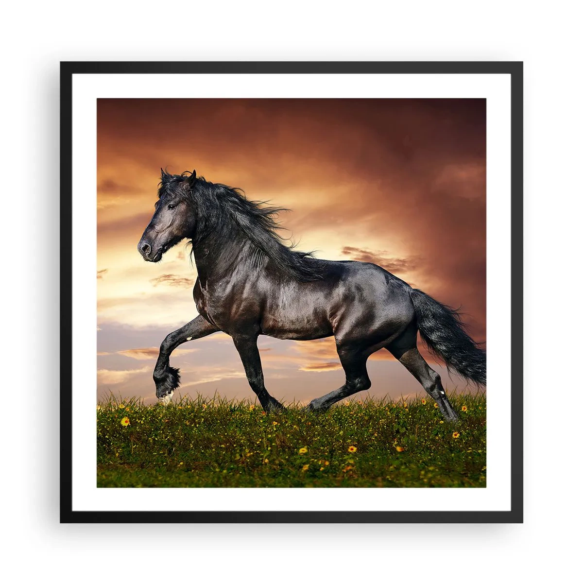Poster în ramă neagră - Prințul negru - 60x60 cm