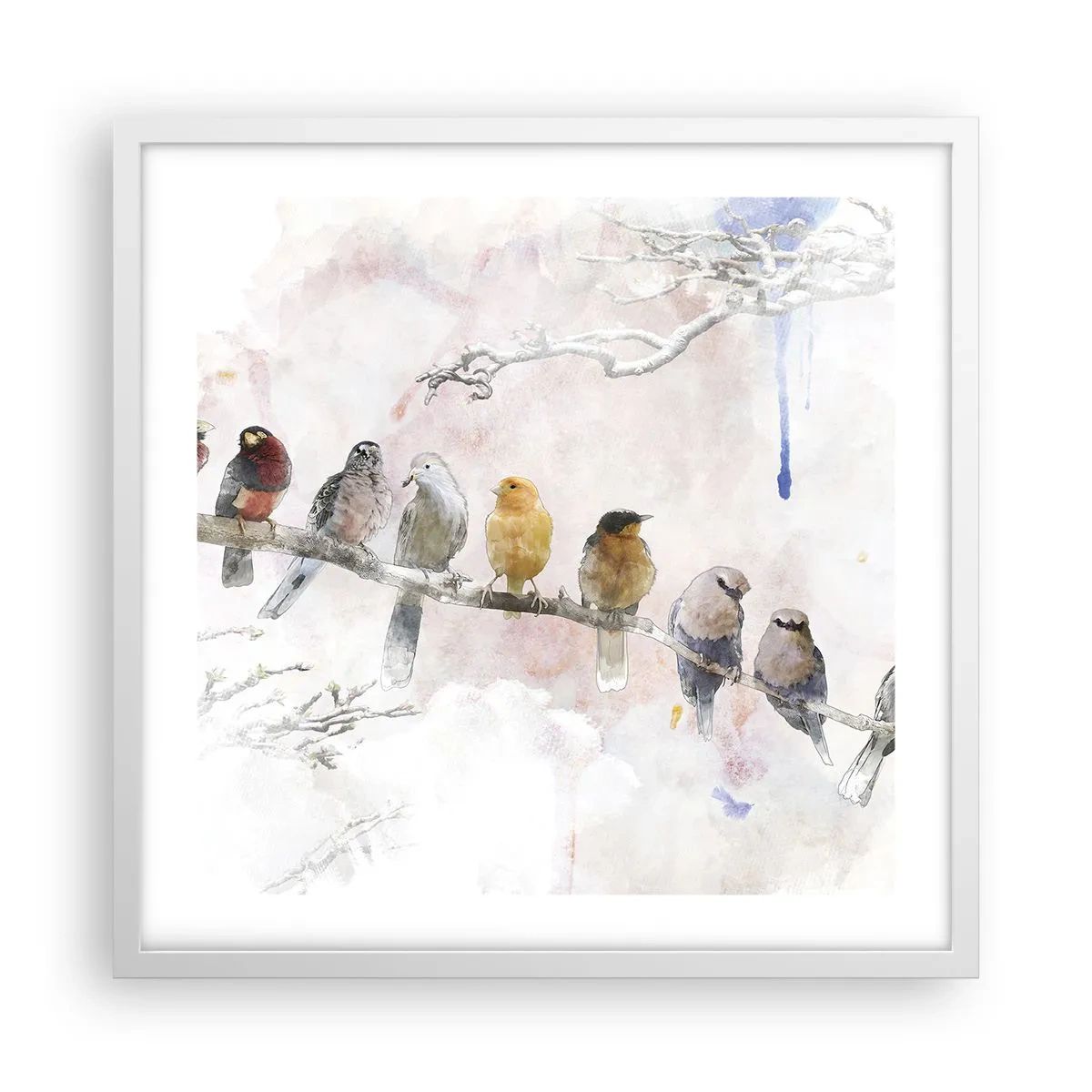 Poster în ramă albă - Întâlnire înaripată - 50x50 cm