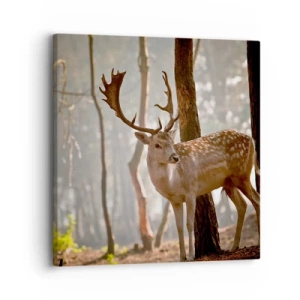 Tablou pe pânză - Lumina tinereții - 30x30 cm