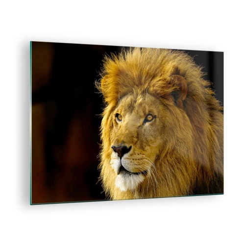 Tablou pe sticlă - Portretul unui leu maiestuos pe un fundal întunecat - 70x50cm - Portretul unui rege - Decorațiune modernă pentru perete pentru living și dormitor ARTTOR