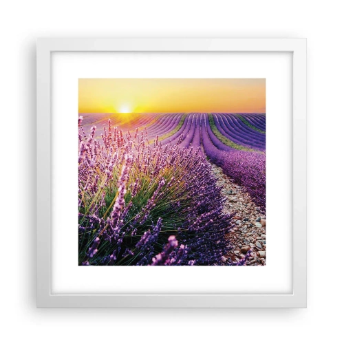 Poster în ramă albă - Câmpul parfumat - 30x30 cm