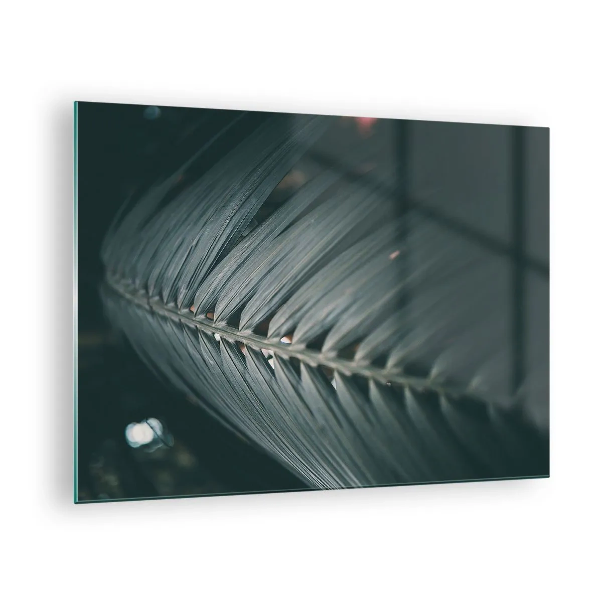 Tablou pe sticlă - Prim-plan al unei frunze de palmier verde închis cu reflexie a luminii - 70x50cm - Precizia naturii - Decorațiune modernă pentru perete pentru living și dormitor ARTTOR