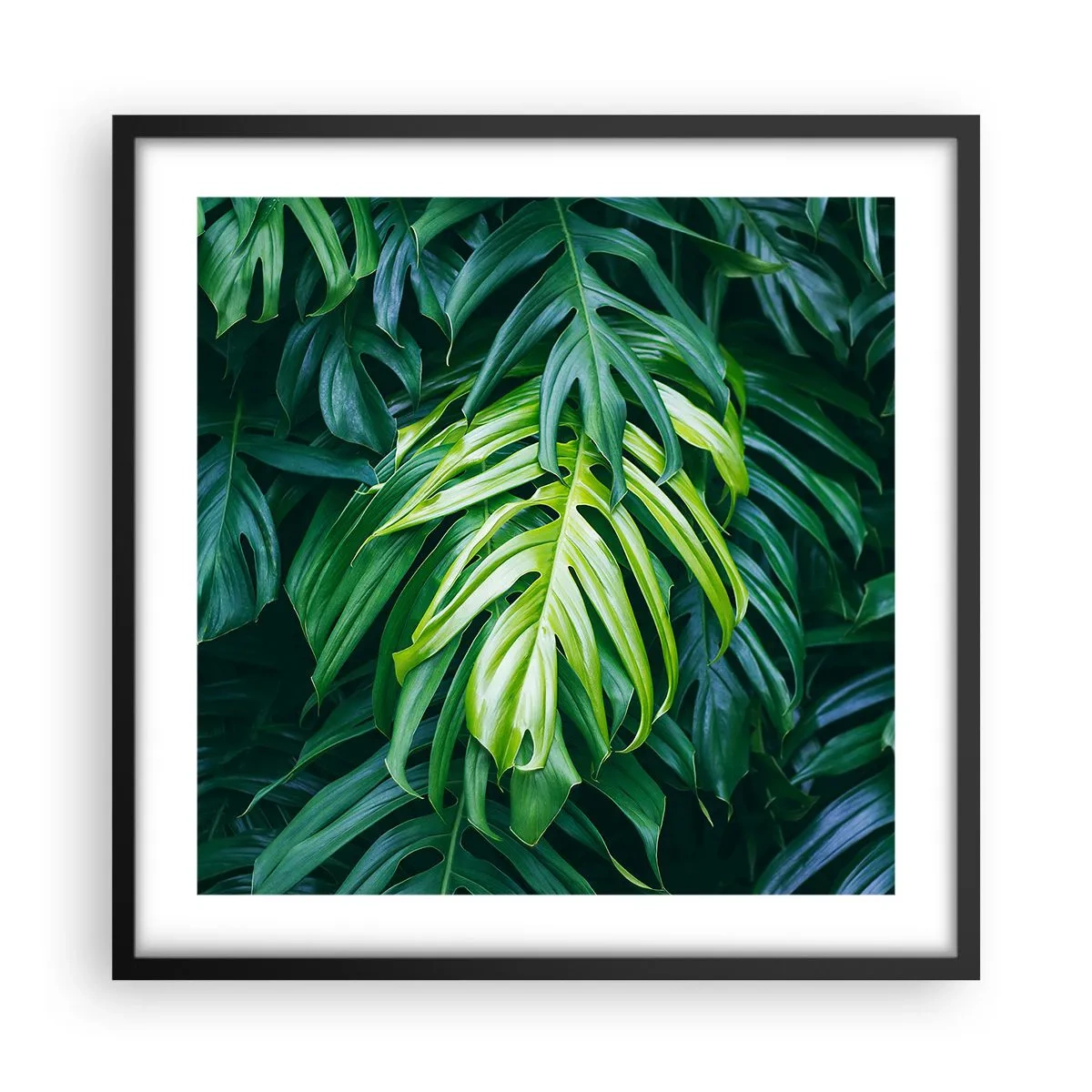 Poster în ramă neagră - Scufundă-te în prospețime - 50x50 cm