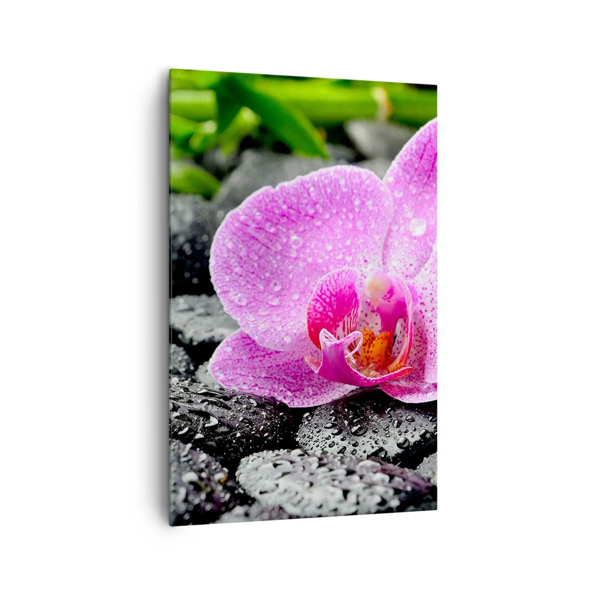 Tablou pe pânză - Ca o inimă deschisă - 80x120 cm