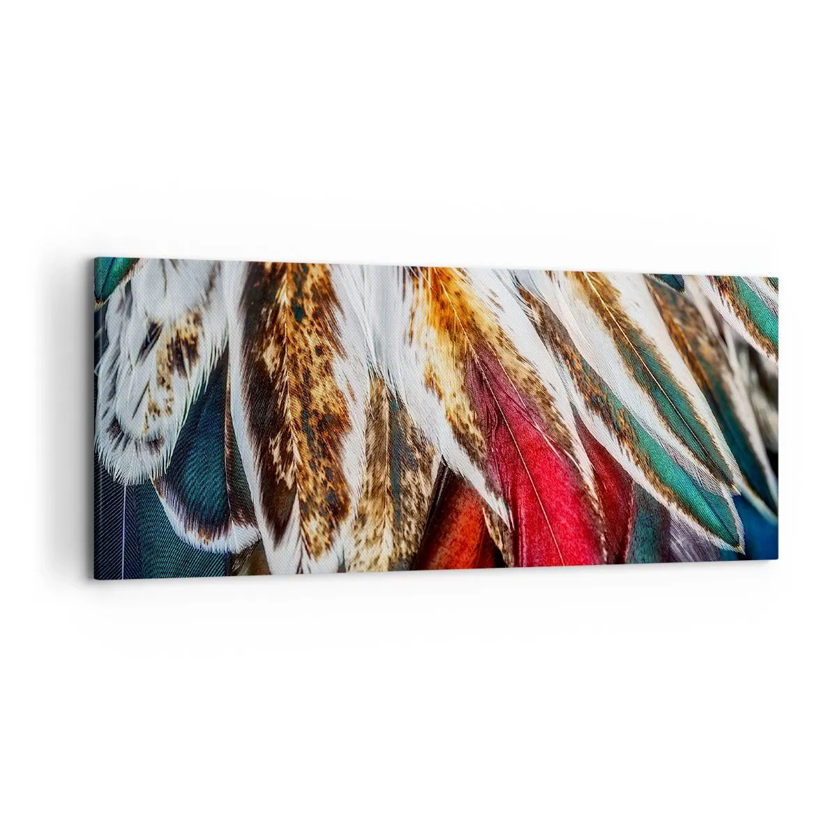 Tablou pe pânză - Secretele zborului - 120x50 cm