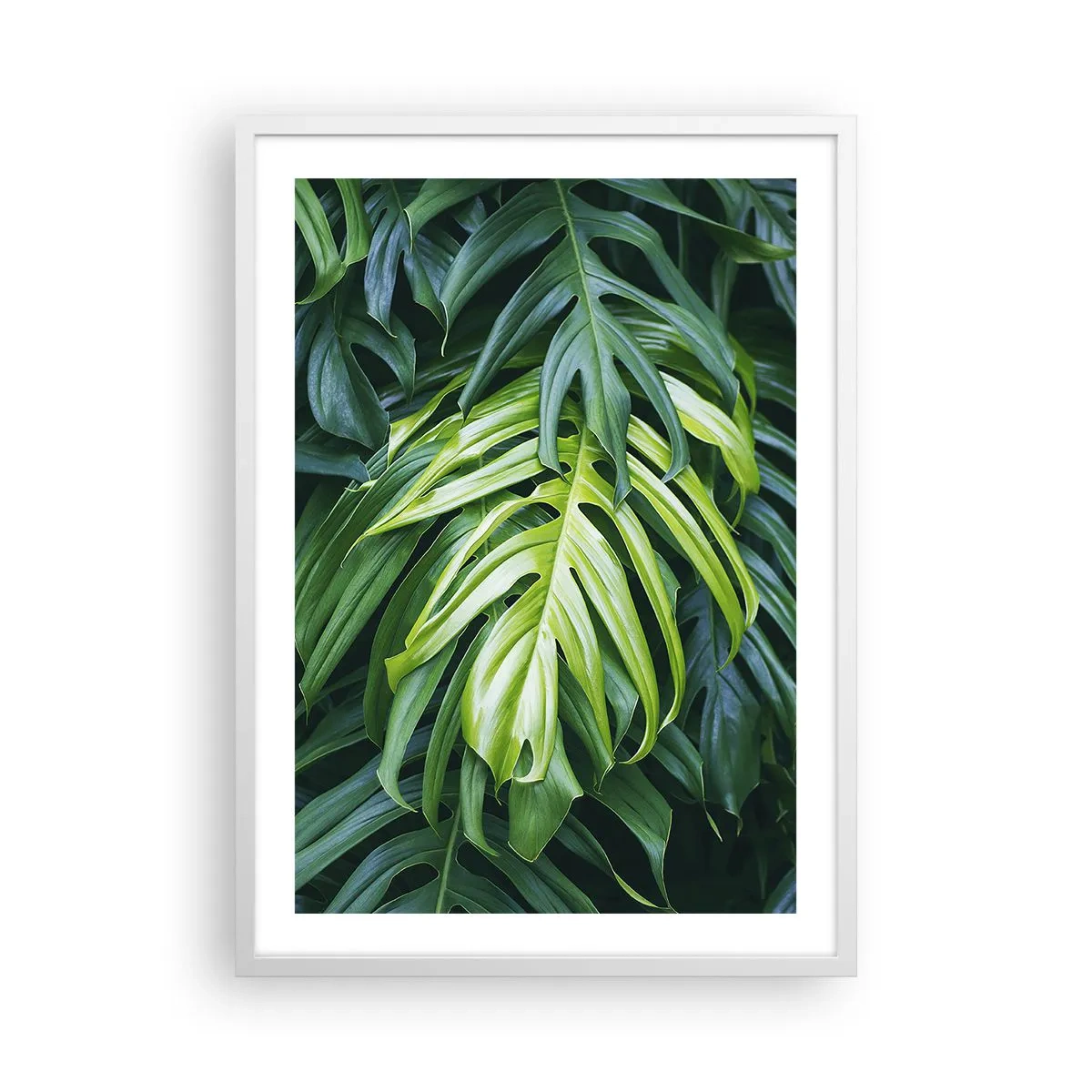 Poster în ramă albă - Scufundă-te în prospețime - 50x70 cm