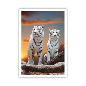 Poster - La fel ca în Narnia - 70x100 cm