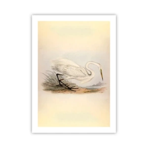 Poster - Doamna în stufărișuri - 50x70 cm