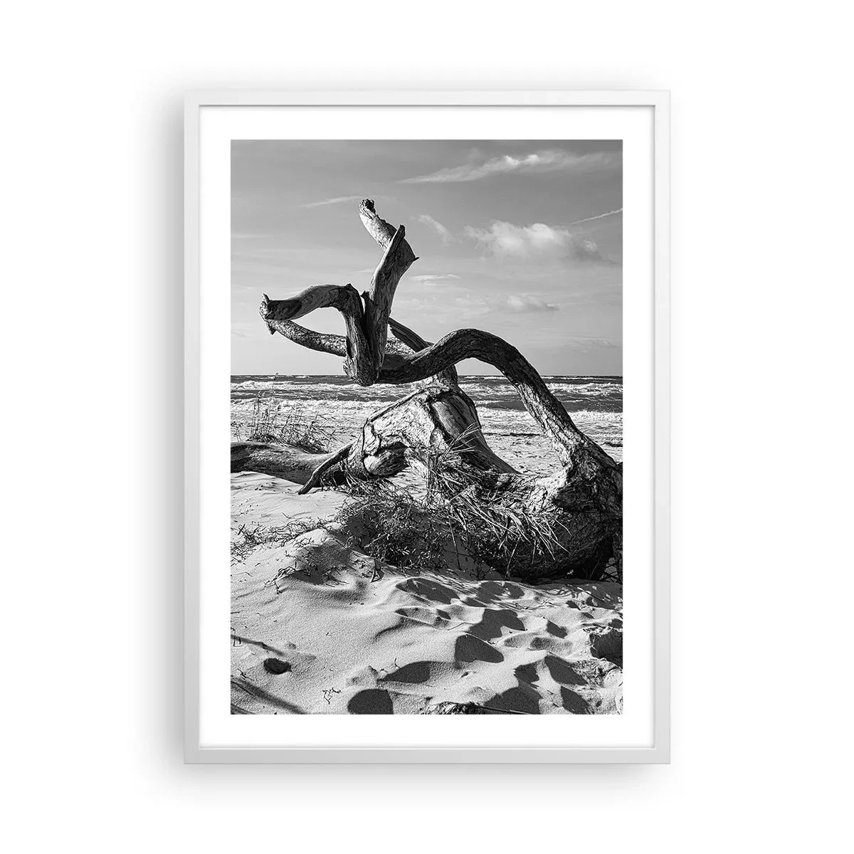Poster în ramă albă - Sculptură marină - 50x70 cm