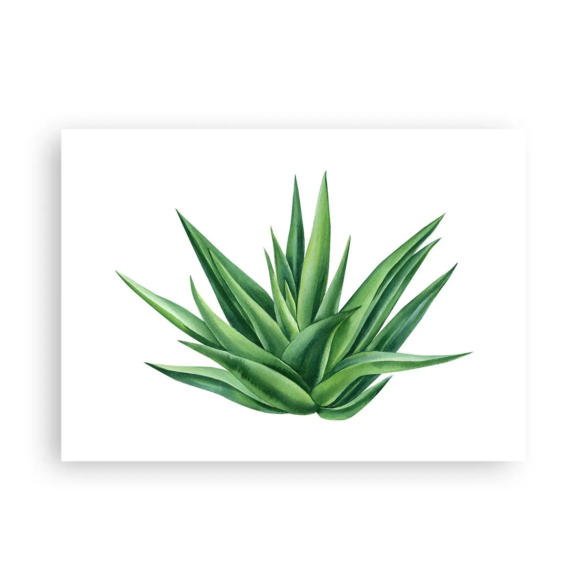 Poster - Verde - putere - viață - 70x50 cm