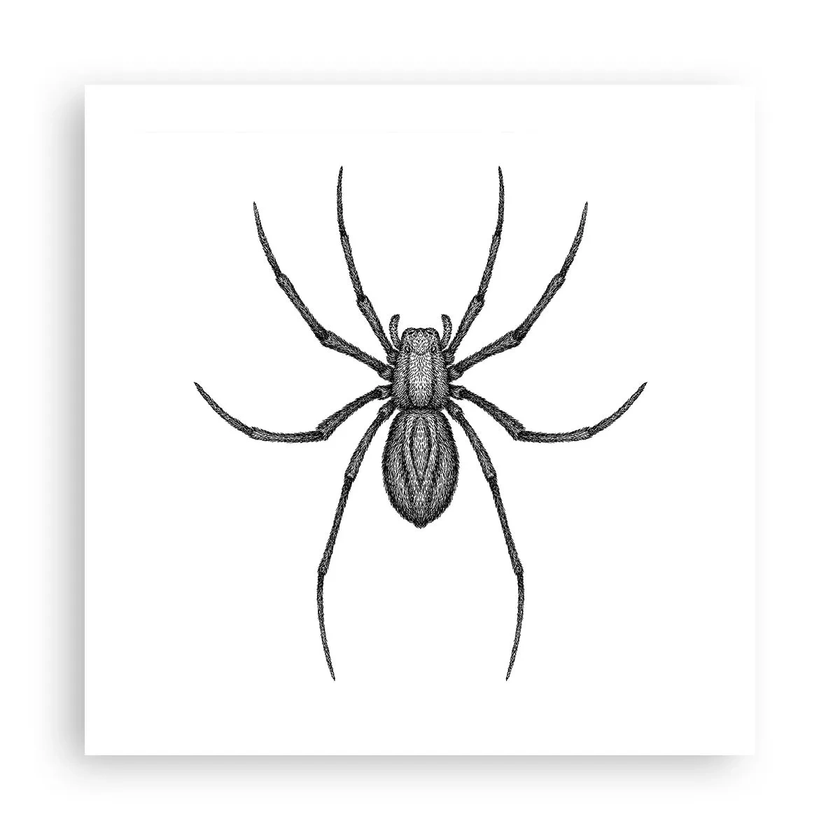 Poster - Precizie tulburătoare - 50x50 cm