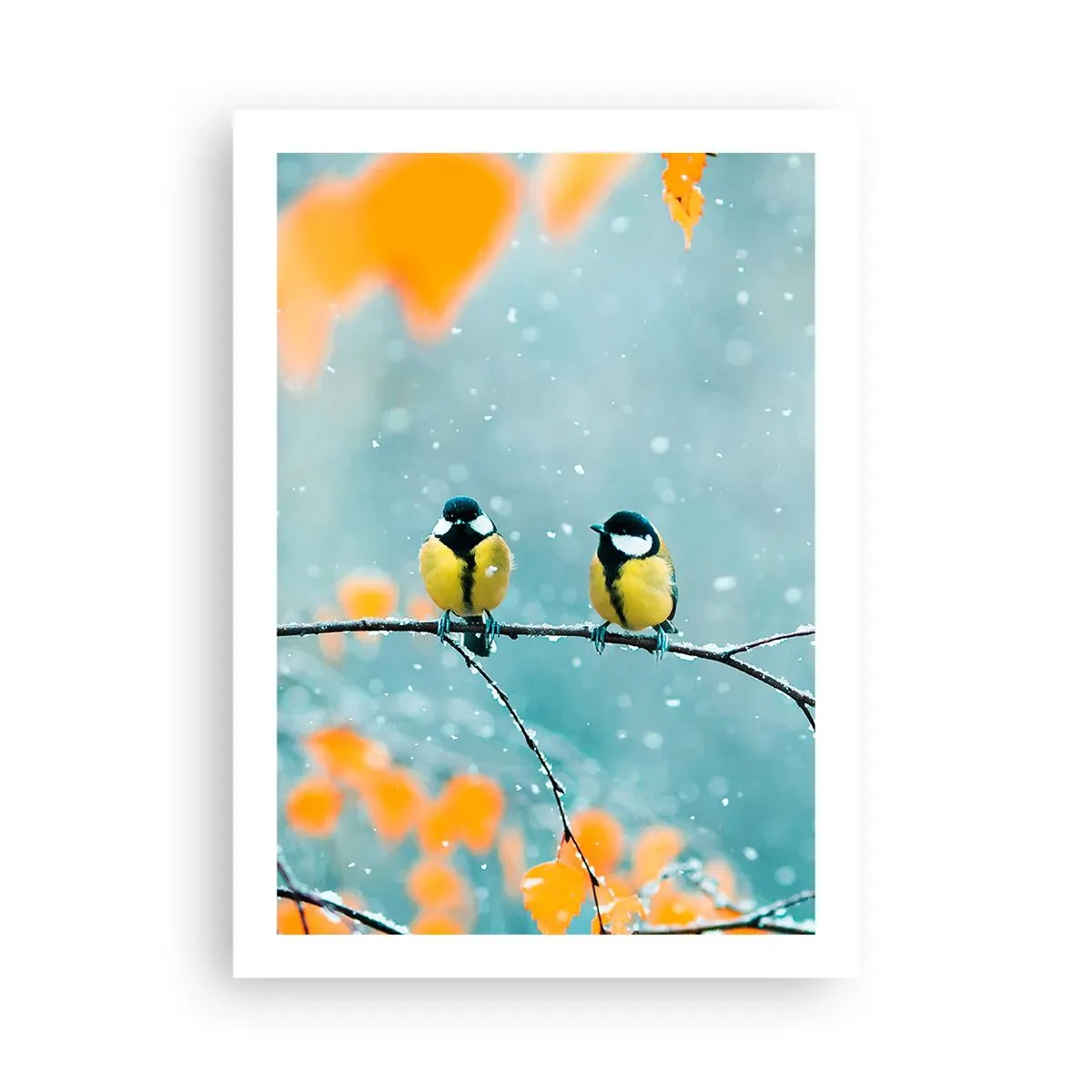 Poster - Bârfele păsărilor - 50x70 cm