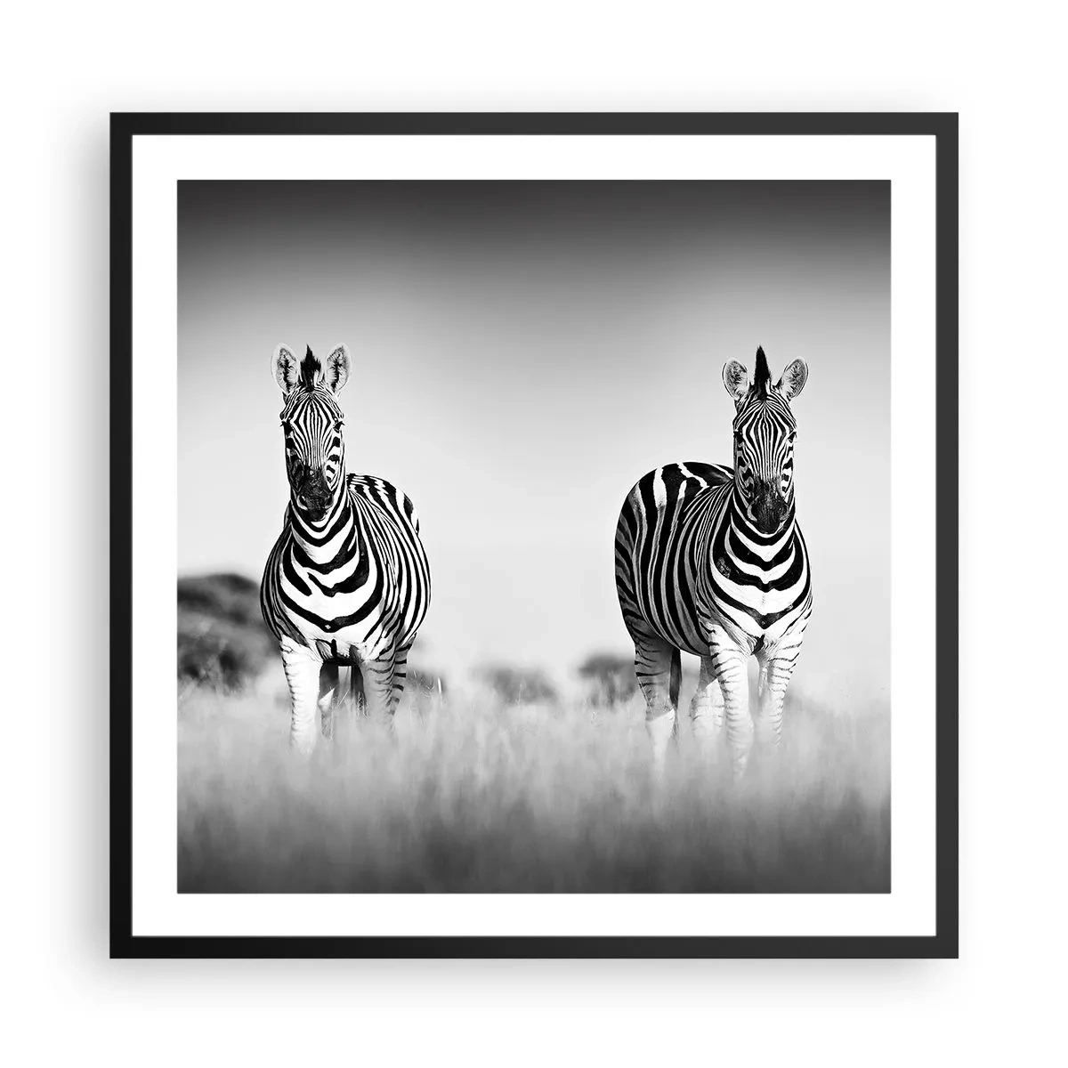 Poster în ramă neagră - Și totuși lumea e albă și neagră - 60x60 cm