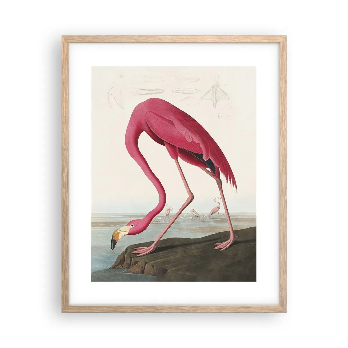 Poster în ramă de stejar deschis - O creatură uimitoare - 40x50 cm