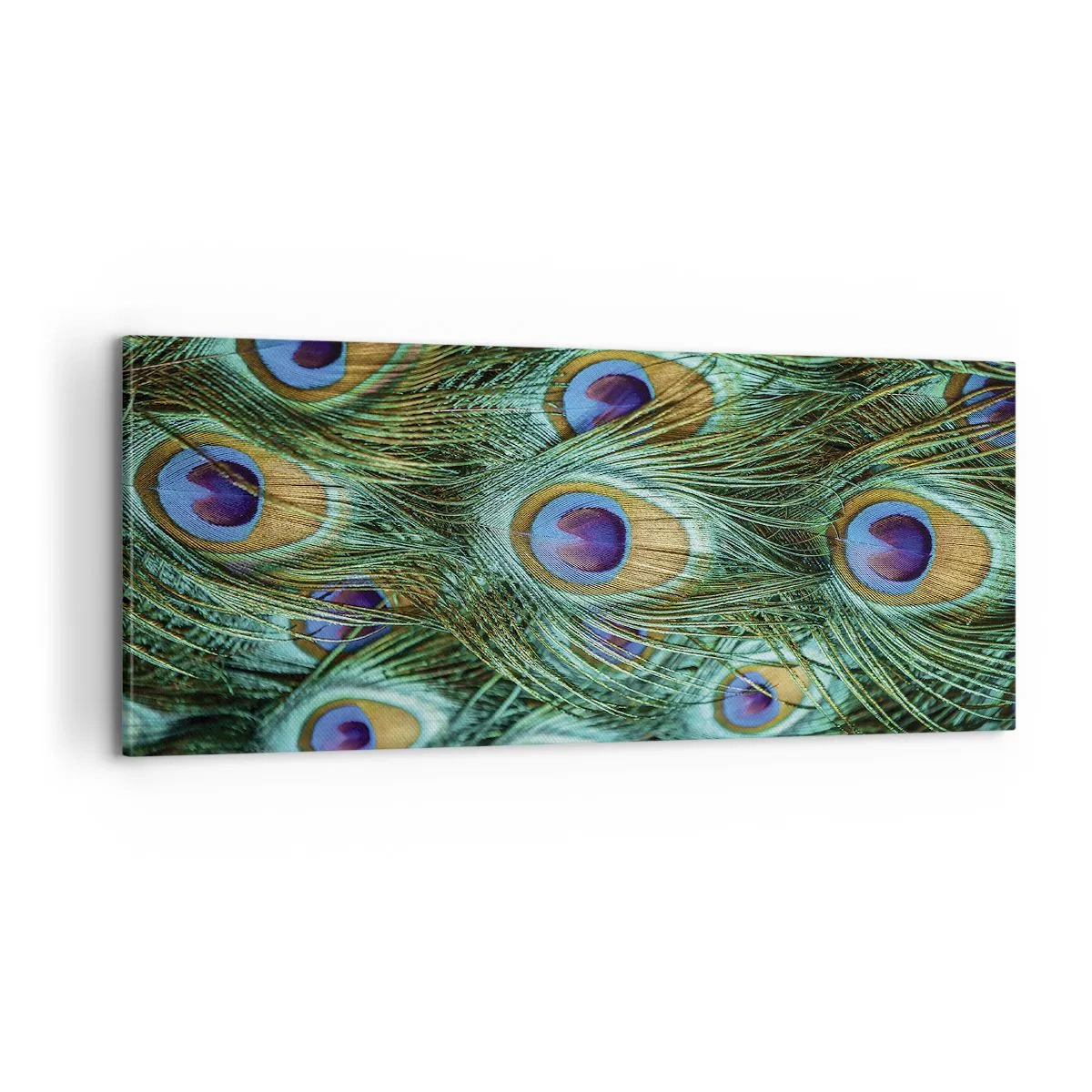 Tablou pe pânză - O privire cu ochi de păun - 100x40 cm