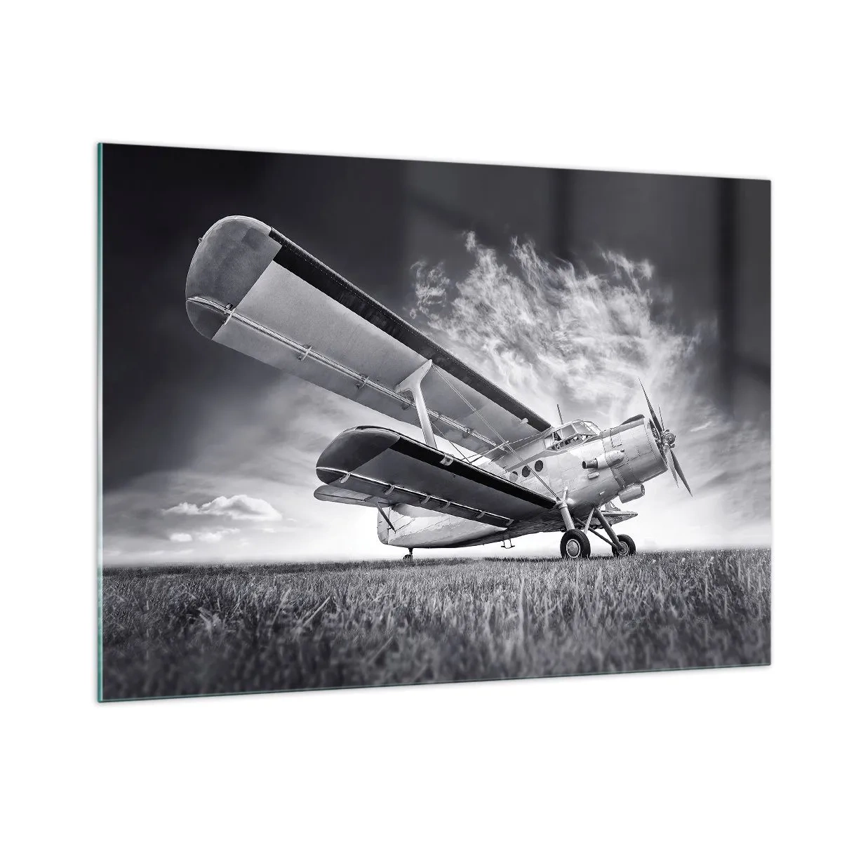 Tablou pe sticlă - Rătăcitorul înaripat - 100x70 cm