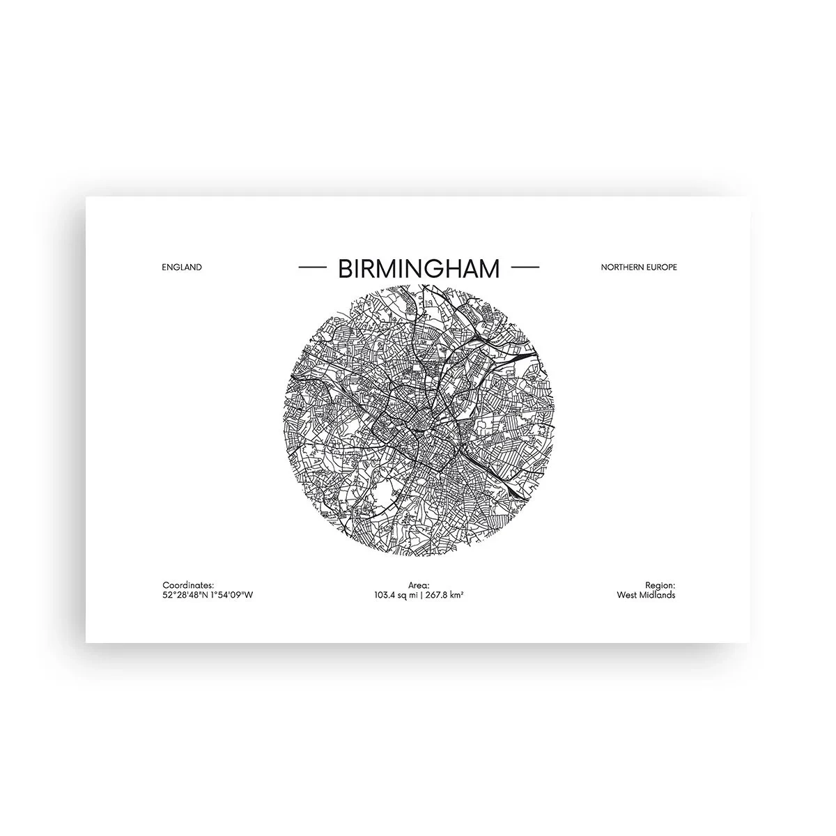 Poster - Anatomia Birmingham - 91x61 cm