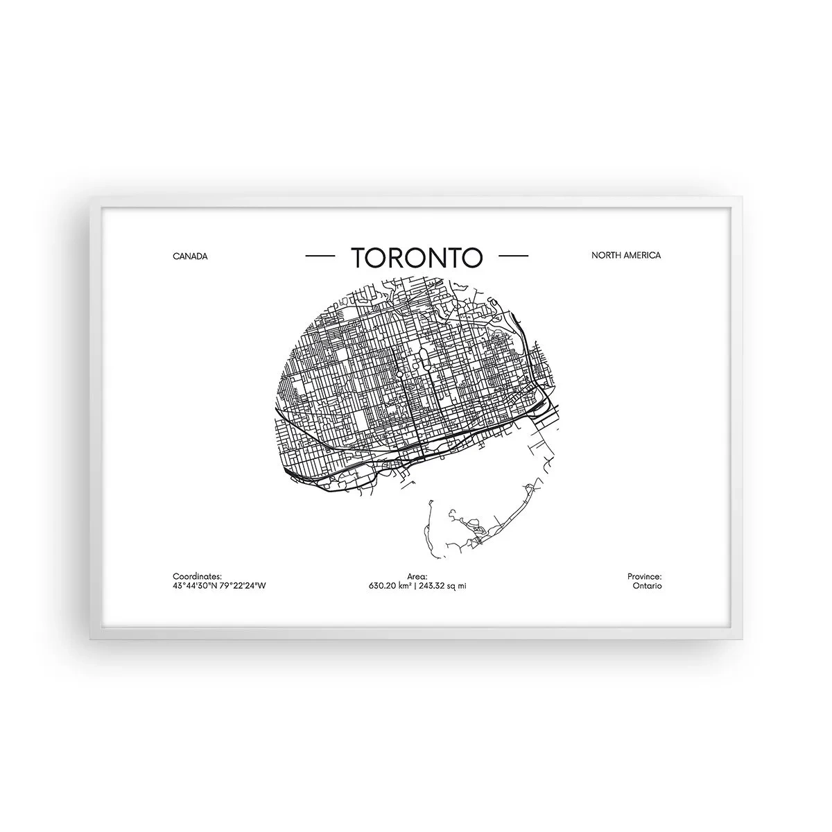 Poster în ramă albă - Anatomia Toronto - 91x61 cm
