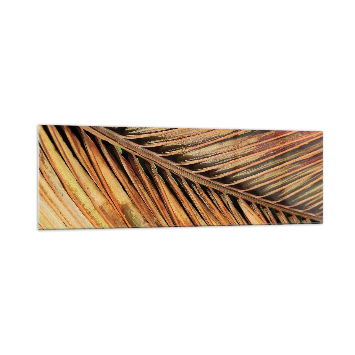 Tablou pe sticlă - Aur de nucă de cocos - 160x50 cm