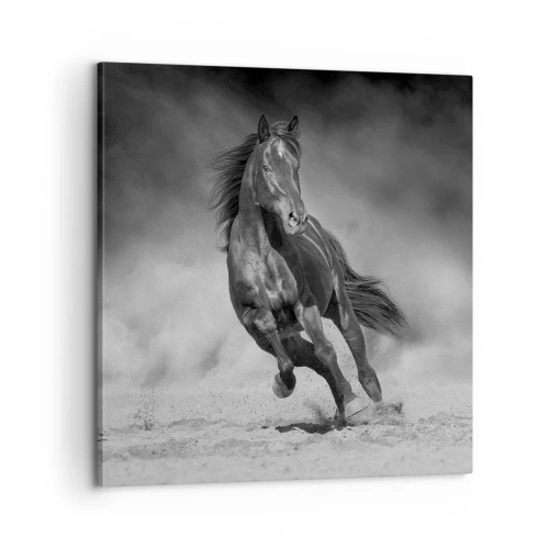 Tablou pe pânză - Dorința emirului - 60x60 cm