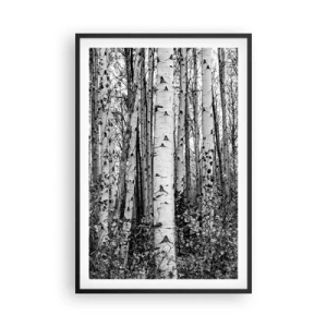 Poster în ramă neagră - Coloane de mesteacăn - 61x91 cm