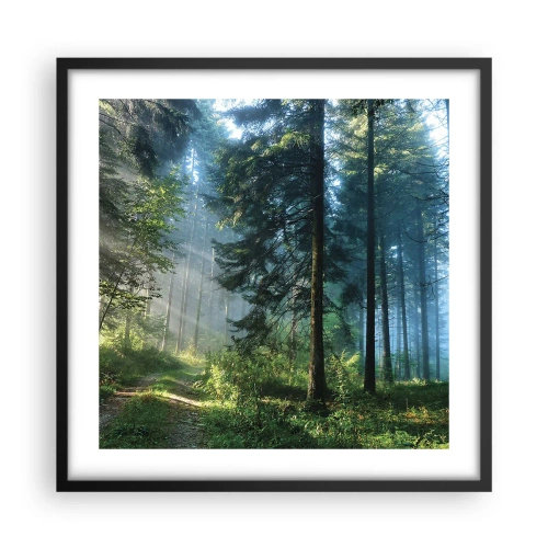 Poster în ramă neagră - Strălucirea de dimineață - 50x50 cm