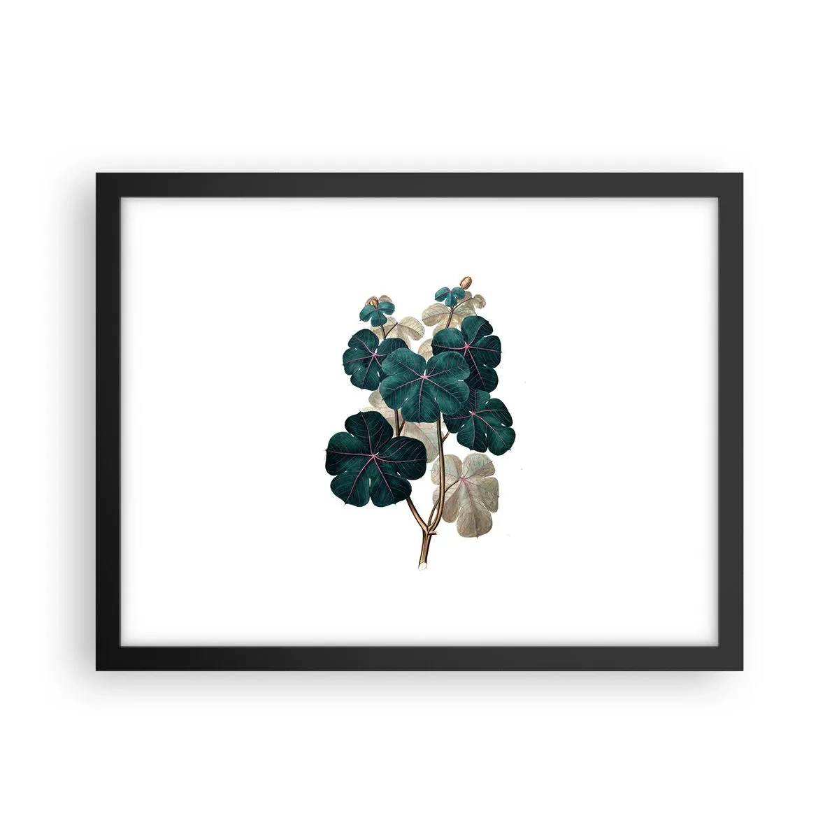 Poster în ramă neagră - Dintr-un vechi ierbar - 40x30 cm