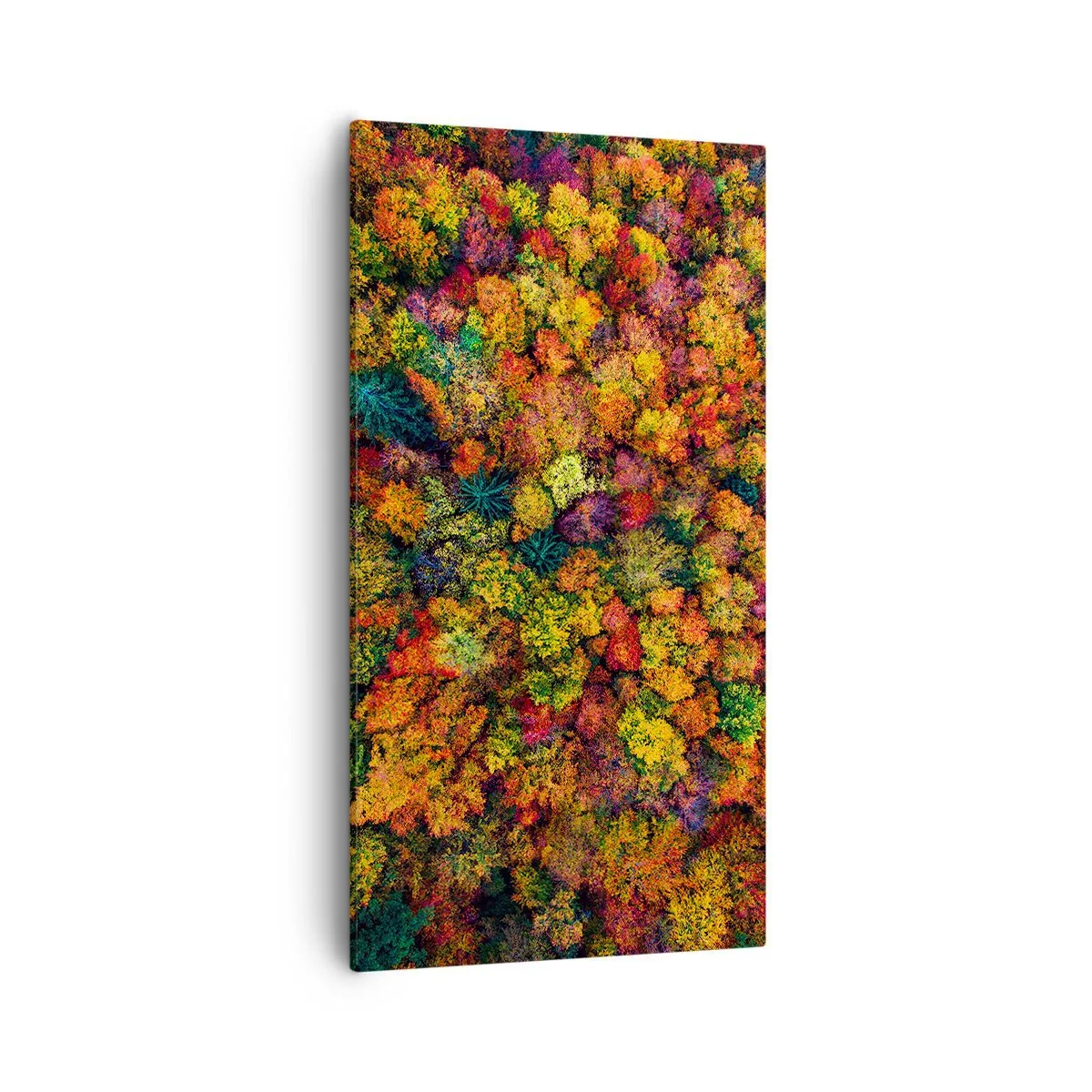 Tablou pe pânză - Buchet de copaci de toamnă - 55x100 cm