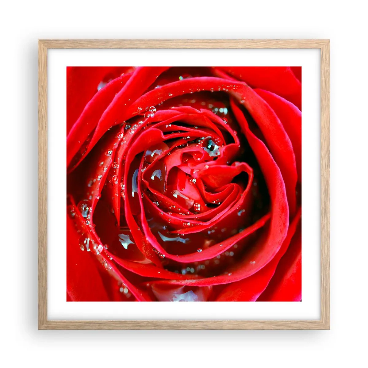 Poster în ramă de stejar deschis - În picături de rouă - 50x50 cm