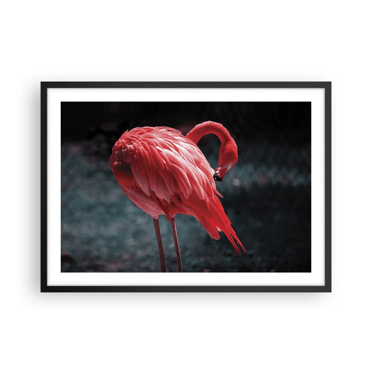 Poster în ramă neagră - Poemul purpuriu al naturii - 70x50 cm