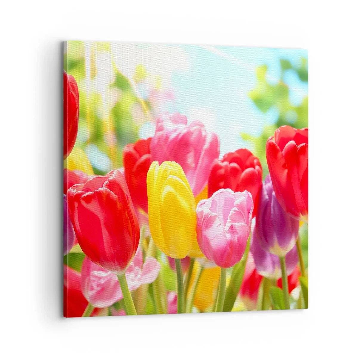 Tablou pe pânză - Așa suntem noi, culorile lunii mai! - 60x60 cm