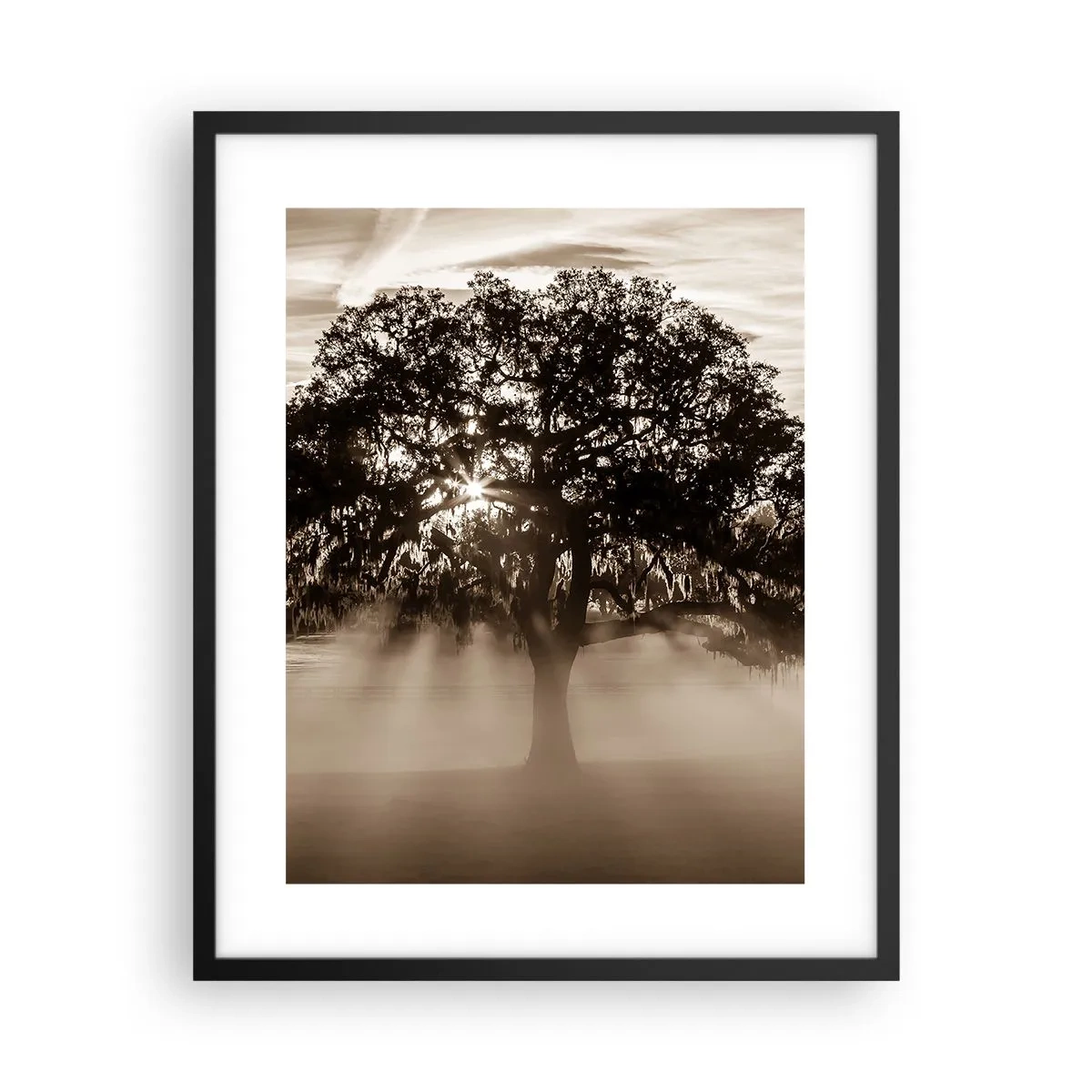 Poster în ramă neagră - Un copac de vești bune - 40x50 cm