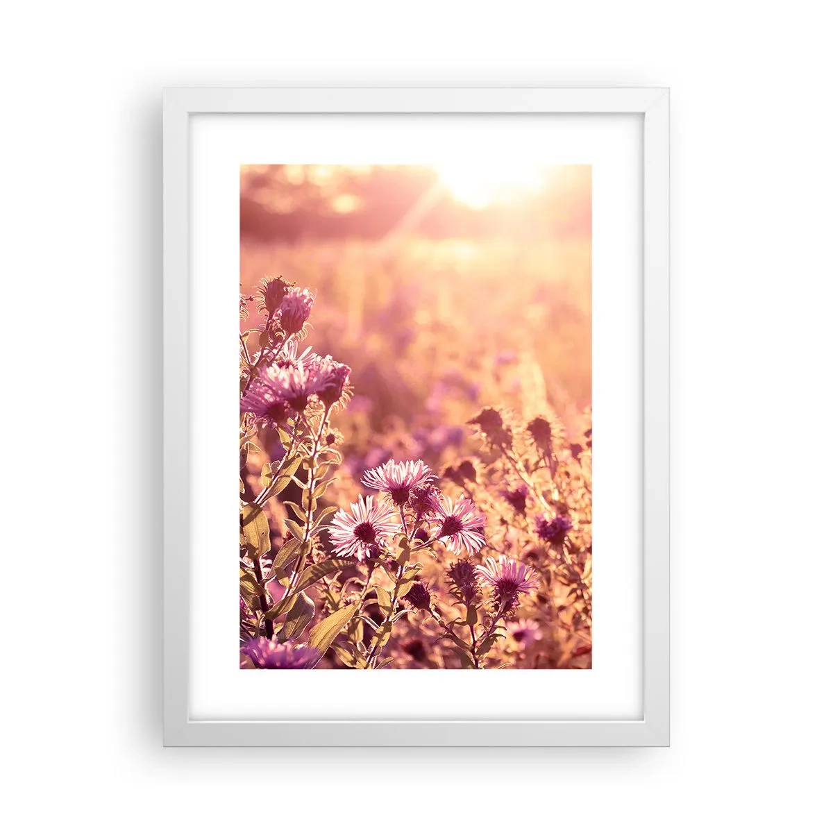 Poster în ramă albă - Înainte ca vara să plece - 30x40 cm