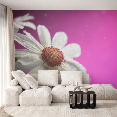 Tapet Premium Sand - Modestă în frumusețea ei - Floare, Natură, Grădină - 300x210 cm