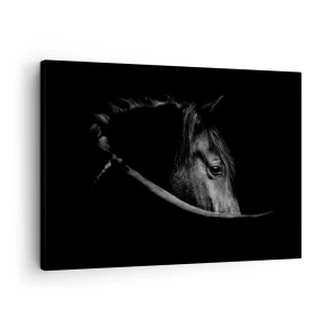Tablou pe pânză Canvas - Un portret alb-negru al unui cal, cu un joc subtil de lumini și umbre pe un fundal întunecat. - 70x50cm - Prințul negru - Decorațiune modernă pentru perete pentru living și dormitor ARTTOR