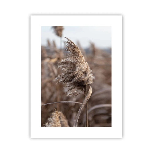 Poster - E timpul să zbori cu vântul - 30x40 cm