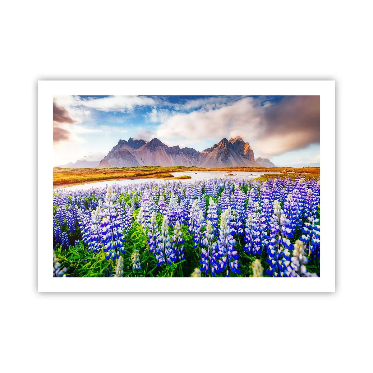 Poster - Putere și severitate alături de blândețe - 70x50 cm