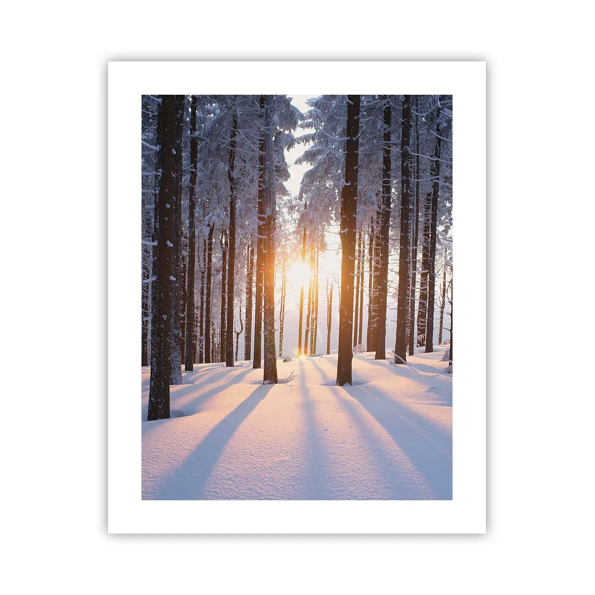 Poster - În mod clar în alb și negru - 40x50 cm