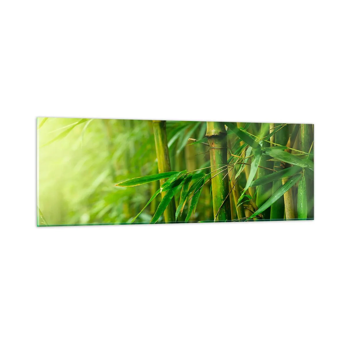 Tablou pe sticlă - Cunoașteți verdeața în sine - 90x30 cm