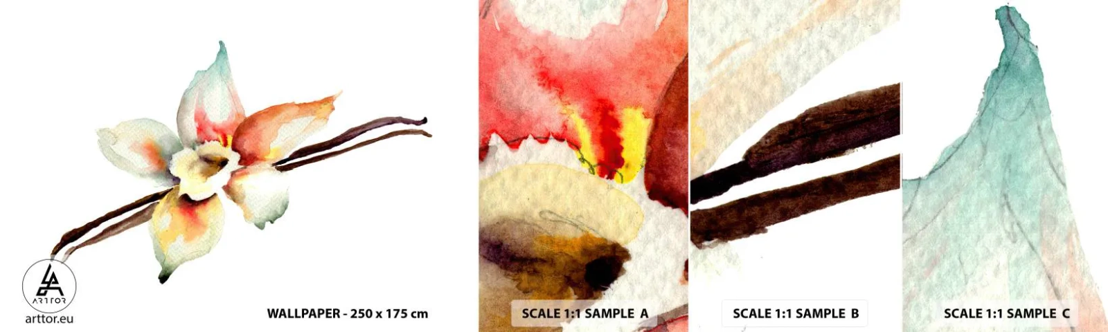 Mostră de Tapet Standard Eco - Dulceața stropită - Floare de vanilie, Floare, baton de vanilie - 100x30 cm
