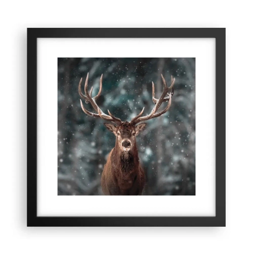 Poster în ramă neagră - Regele pădurii a fost încoronat - 30x30 cm