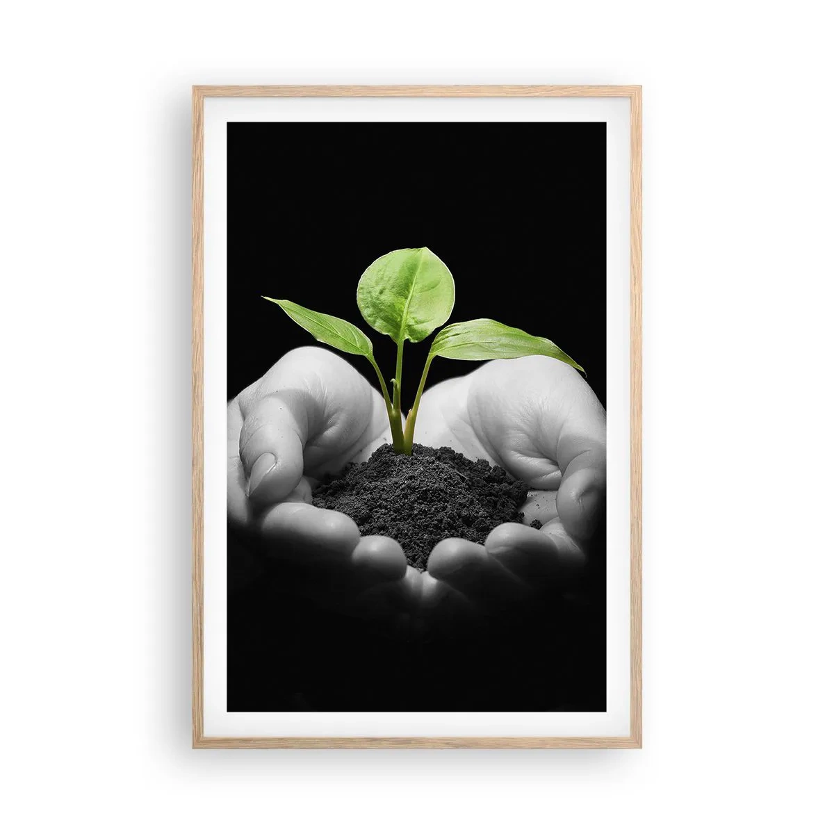 Poster în ramă de stejar deschis - Iubesc natura, o protejez - 61x91 cm