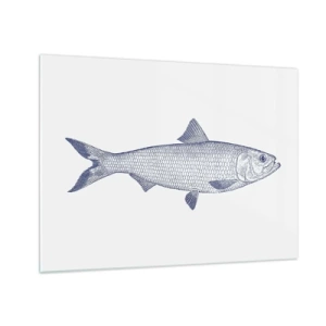 Tablou pe sticlă - Schiță de pește în stil vintage pe un fundal deschis - 70x50cm - Salutări din mările nordice - Decorațiune modernă pentru perete pentru living și dormitor ARTTOR