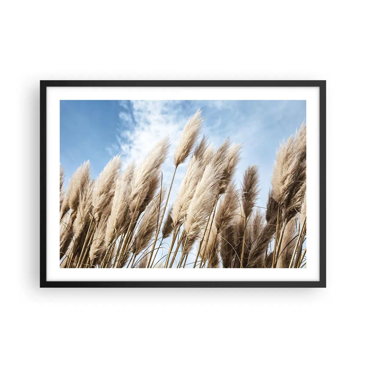 Poster în ramă neagră - Mângâiere însorită și vântoasă - 70x50 cm