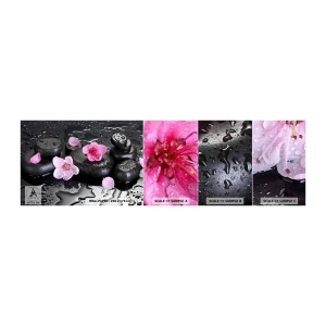 Mostră tapet autocolant Deluxe Sticker - Piatră de pe inimă - Flori, Asia, spa - 100x30 cm