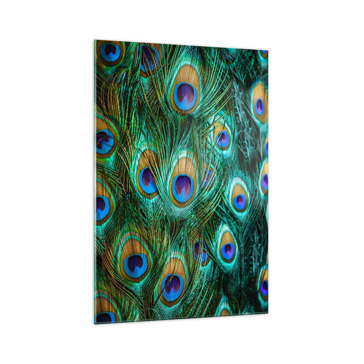 Tablou pe sticlă - O privire cu ochi de păun - 70x100 cm