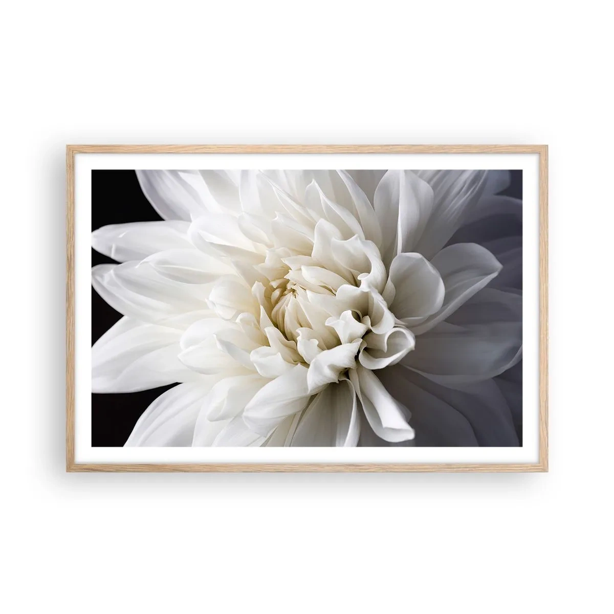 Poster în ramă de stejar deschis - Dimineața miresei - 91x61 cm