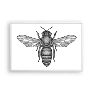 Poster în ramă albă - Portret de insectă - 91x61 cm