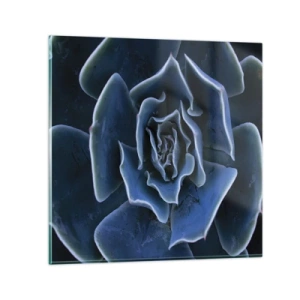 Tablou pe sticlă - Floare de deșert - 40x40 cm